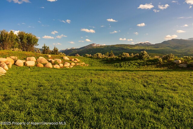 26 Bunker Loop, Aspen, CO 81611 - photo 75
