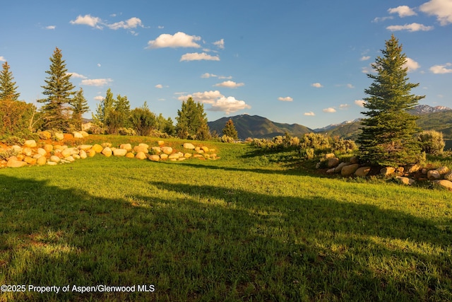 26 Bunker Loop, Aspen, CO 81611 - photo 76