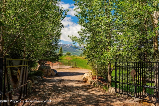 26 Bunker Loop, Aspen, CO 81611 - photo 8