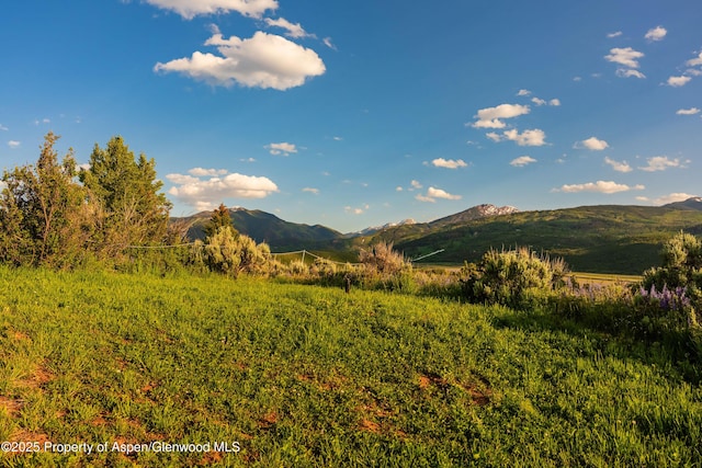 26 Bunker Loop, Aspen, CO 81611 - photo 78