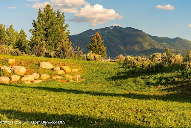 26 Bunker Loop, Aspen, CO 81611 - photo 74