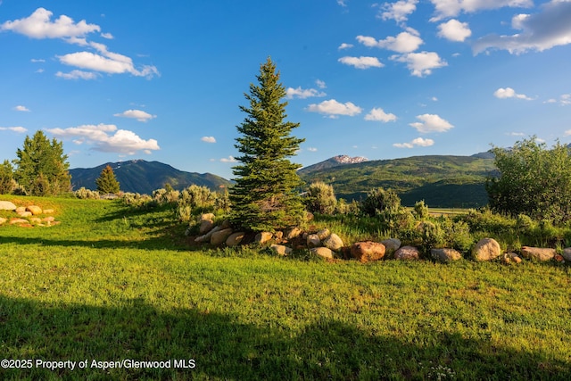 26 Bunker Loop, Aspen, CO 81611 - photo 73