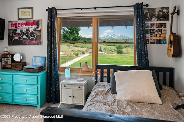 248 Basalt Mountain Dr, Carbondale, CO 81623 - bedroom featuring carpet and a mountain view