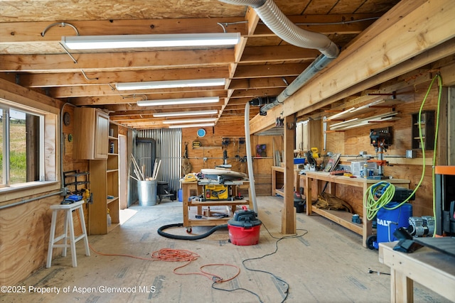 248 Basalt Mountain Dr, Carbondale, CO 81623 - basement featuring a workshop area