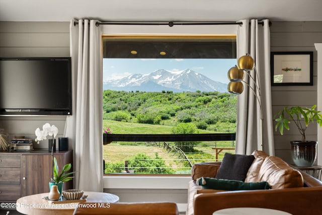 248 Basalt Mountain Dr, Carbondale, CO 81623 - living room featuring a mountain view