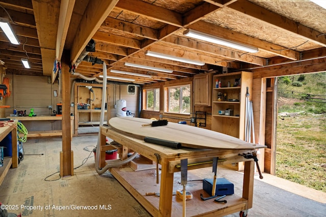 248 Basalt Mountain Dr, Carbondale, CO 81623 - miscellaneous room with a workshop area