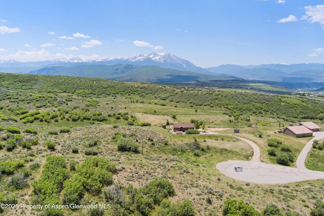 248 Basalt Mountain Dr, Carbondale, CO 81623 - view of mountain background
