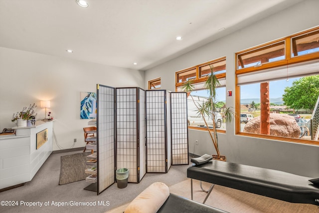 interior space featuring recessed lighting and carpet floors