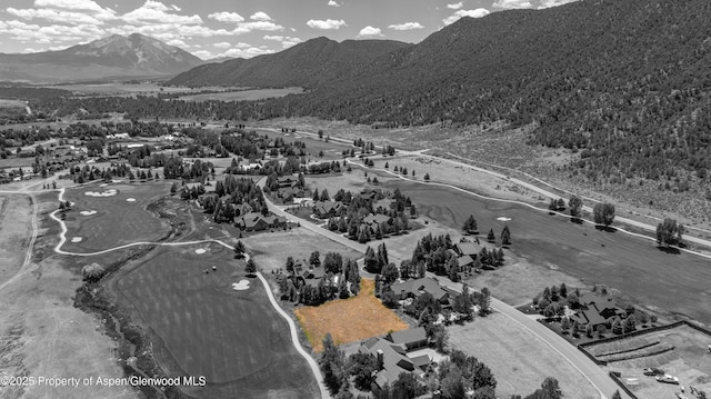 28 Spring Loop, Carbondale, CO 81623 - photo 9