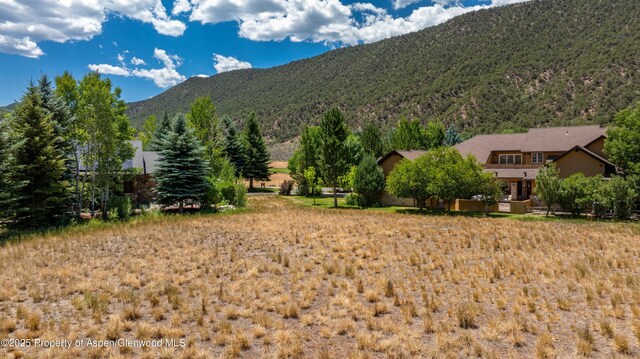 28 Spring Loop, Carbondale, CO 81623 - photo 8