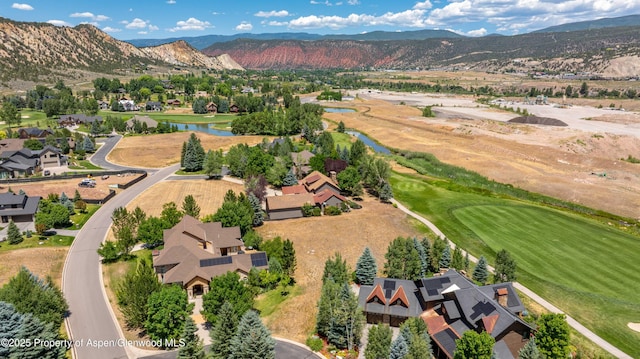 28 Spring Loop, Carbondale, CO 81623 - photo 6