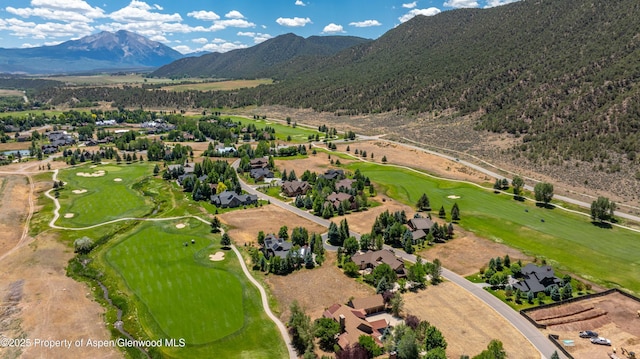 28 Spring Loop, Carbondale, CO 81623 - photo 5