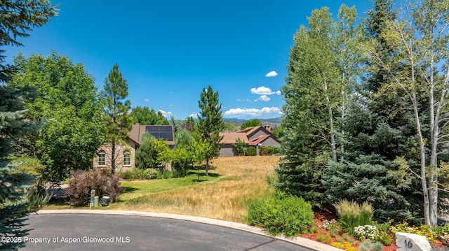 28 Spring Loop, Carbondale, CO 81623 - photo 4