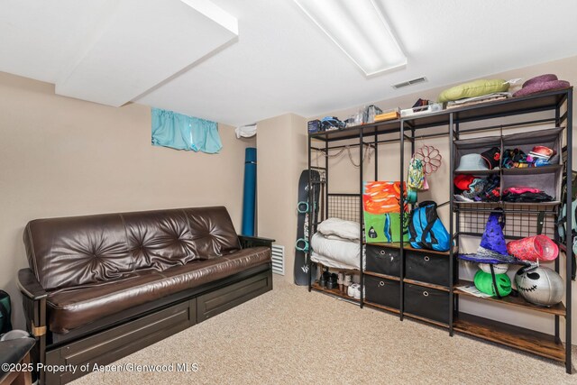 668 Taylor St, Craig, CO 81625 - storage area featuring visible vents