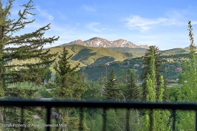 26 Twining Flats Rd, Aspen, CO 81611 - photo 21