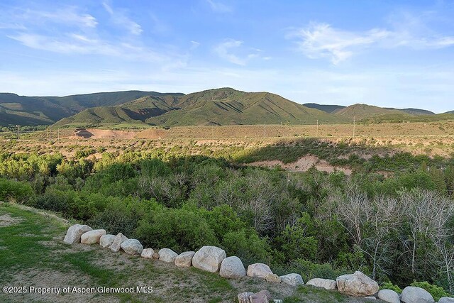 26 Twining Flats Rd, Aspen, CO 81611 - photo 23