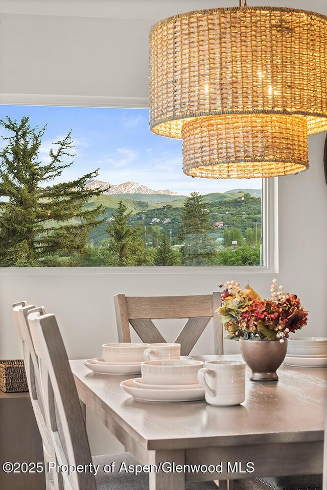 26 Twining Flats Rd, Aspen, CO 81611 - photo 9