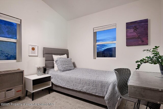 26 Twining Flats Rd, Aspen, CO 81611 - photo 14