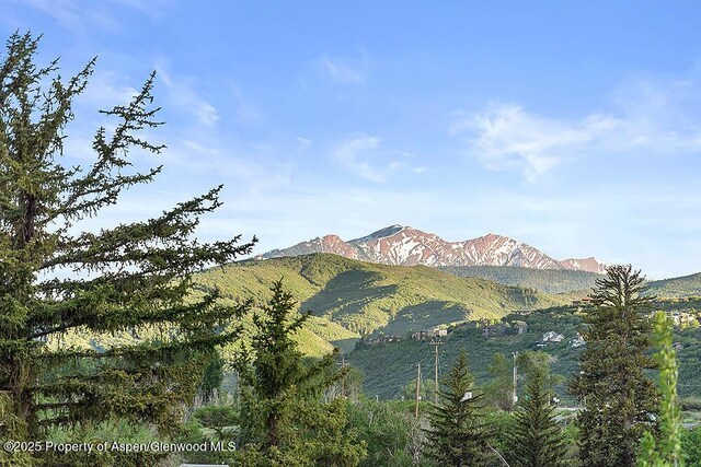 26 Twining Flats Rd, Aspen, CO 81611 - photo 22
