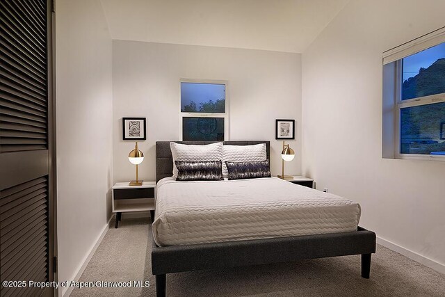 26 Twining Flats Rd, Aspen, CO 81611 - photo 15