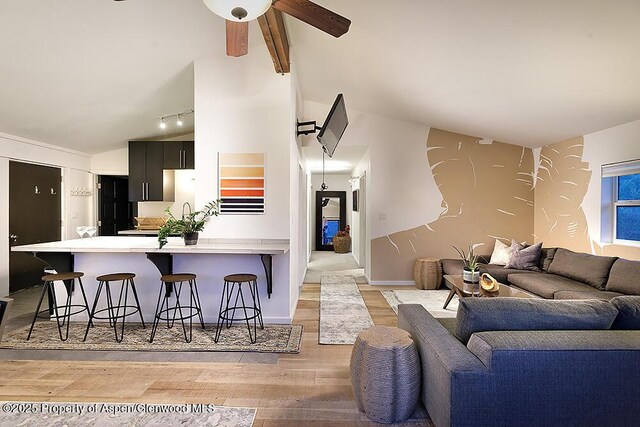 26 Twining Flats Rd, Aspen, CO 81611 - photo 4