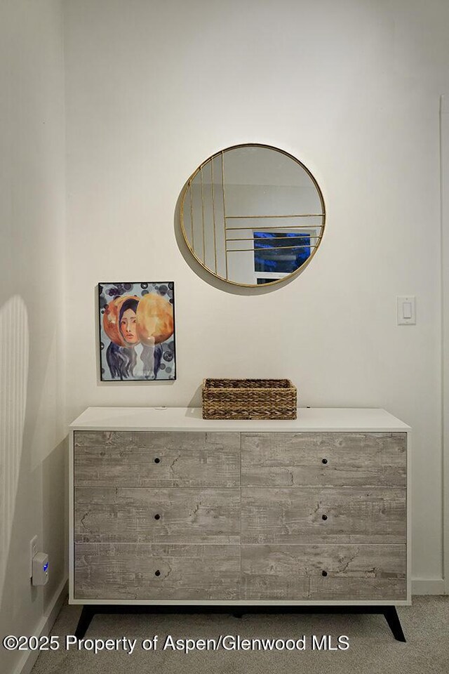 26 Twining Flats Rd, Aspen, CO 81611 - photo 17