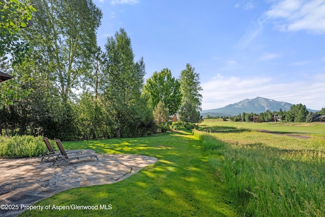 5125 Crystal Bridge Dr, Carbondale, CO 81623 - photo 3
