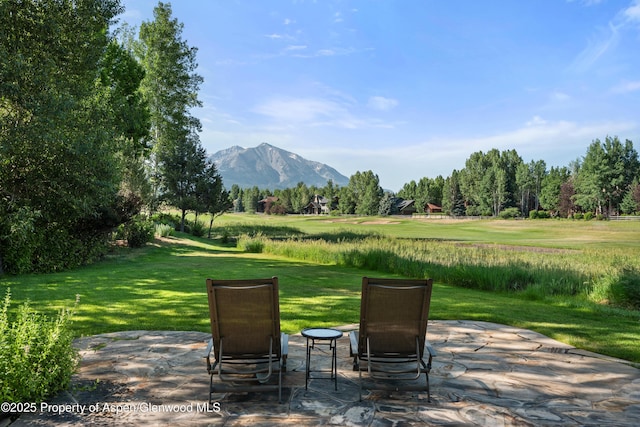 5125 Crystal Bridge Dr, Carbondale, CO 81623 - photo 2