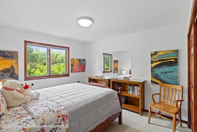 309 Deer Run, Carbondale, CO 81623 - bedroom with carpet