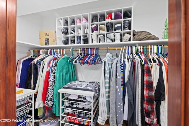 309 Deer Run, Carbondale, CO 81623 - view of closet
