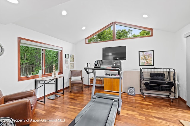 309 Deer Run, Carbondale, CO 81623 - workout room featuring vaulted ceiling, wood finished floors, and recessed lighting