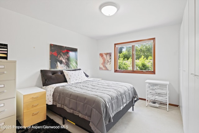 309 Deer Run, Carbondale, CO 81623 - bedroom with carpet flooring