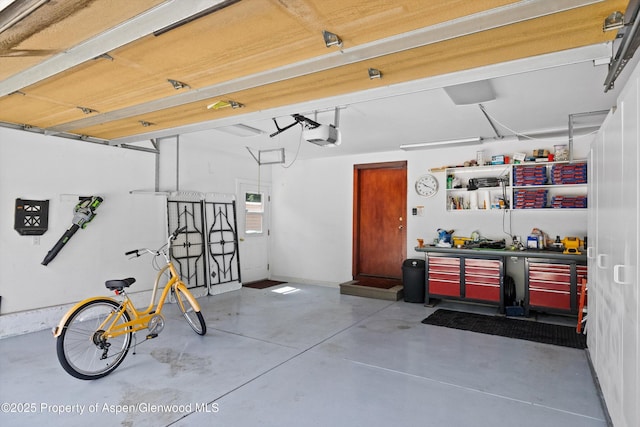 309 Deer Run, Carbondale, CO 81623 - garage featuring a workshop area and a garage door opener