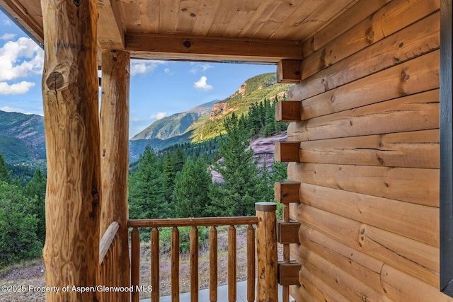 175 Bison Ln, Redstone, CO 81623 - photo 9