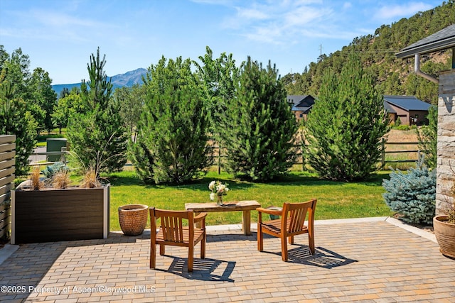 101 Bowles Dr, Carbondale, CO 81623 - photo 26