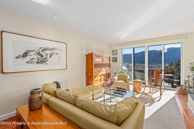 living room with a mountain view and light wood-type flooring