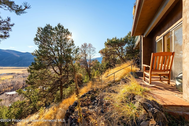 view of yard with a mountain view and a rural view