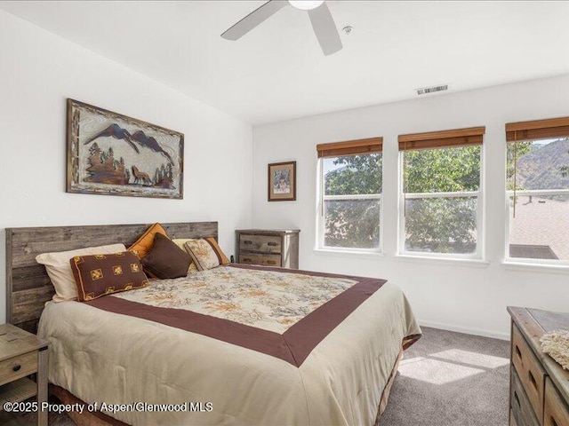 2701 Midland Ave # 1111, Glenwood Springs, CO 81601 - photo 12