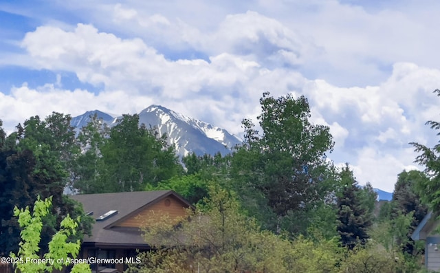 1624 Defiance Dr, Carbondale, CO 81623 - photo 11