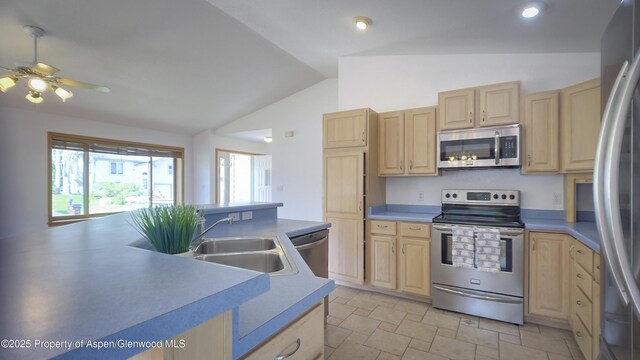 1624 Defiance Dr, Carbondale, CO 81623 - photo 12