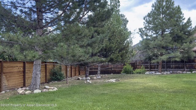 1624 Defiance Dr, Carbondale, CO 81623 - photo 34
