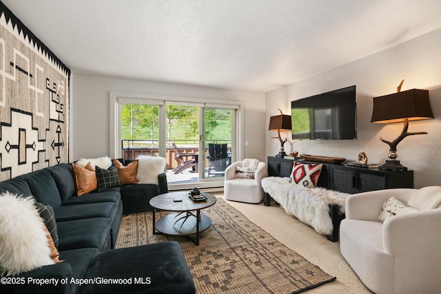 294 Snowmass Club Cir Unit 1207, Snowmass Village, CO 81615 - living room featuring carpet floors and a textured ceiling