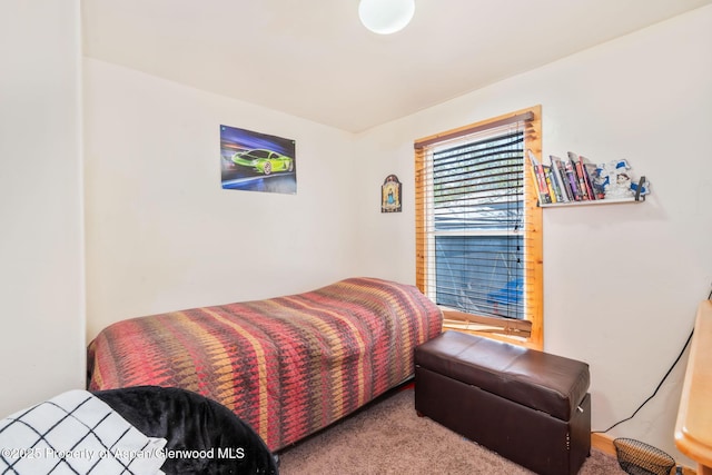 1618 Barclay St, Craig, CO 81625 - bedroom with carpet