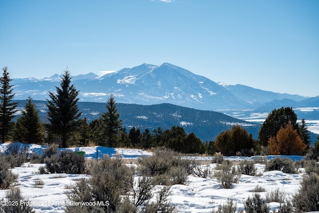 124 Wood Nymph Ln, Glenwood Springs CO, 81601 land for sale