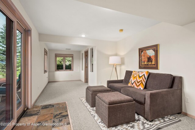 103 Prince Dr, Carbondale, CO 81623 - photo 27