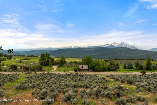 103 Prince Dr, Carbondale, CO 81623 - photo 50