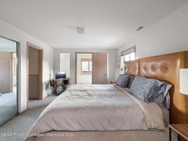 103 Prince Dr, Carbondale, CO 81623 - photo 18