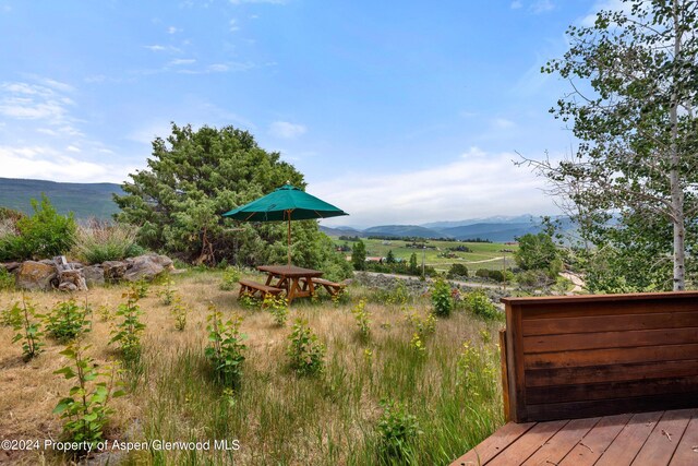 103 Prince Dr, Carbondale, CO 81623 - photo 49