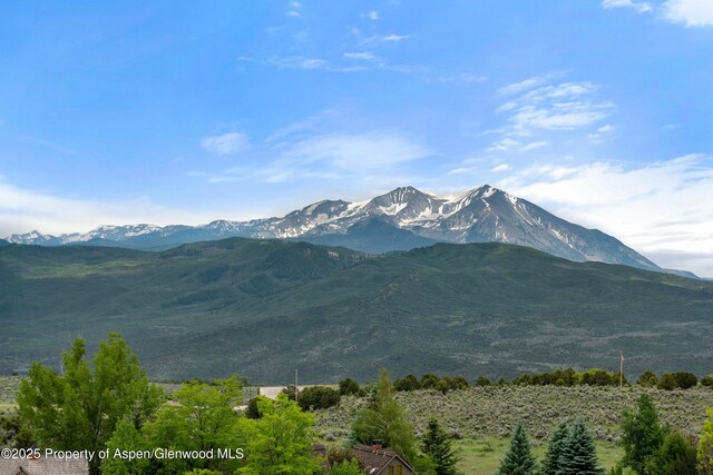 103 Prince Dr, Carbondale, CO 81623 - photo 51