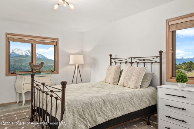 103 Prince Dr, Carbondale, CO 81623 - photo 23